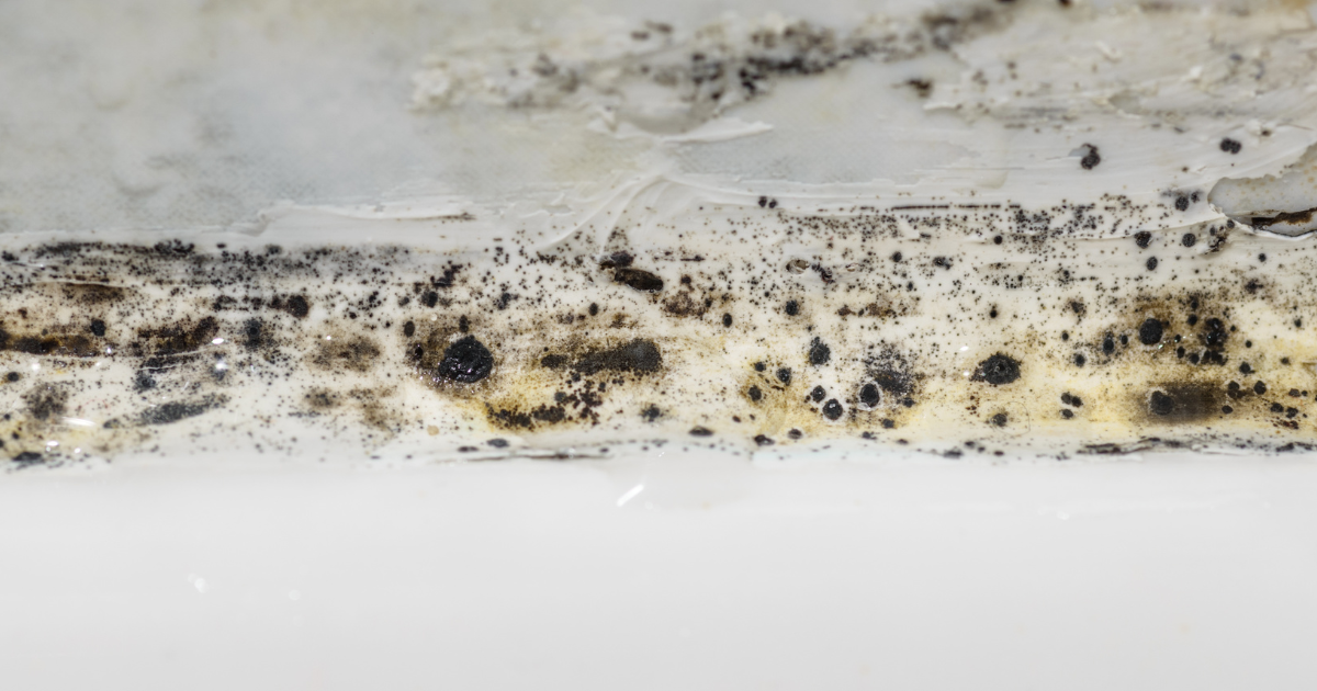 Mold in the bathroom? Prevent problems with these 9 effective mold prevention tips