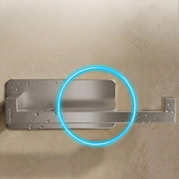 Tissue Roll Holder - Brushed SS