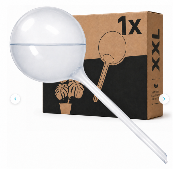 Watering Globe - 700 ML - 1 Pack
