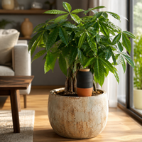 Terracotta Plantenwaterdruppelaar 450 ml Enkel