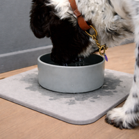 Hondenvoerbak met Sneldrogende Diatomiet Onderzetter